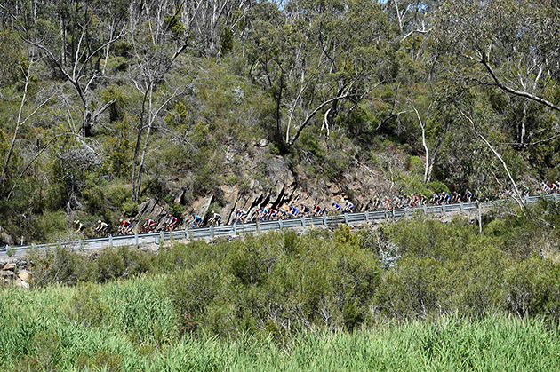 Peloton